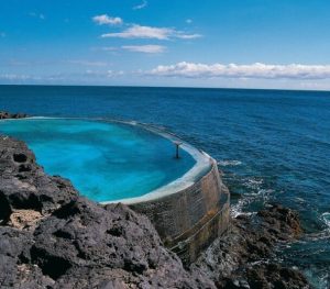pisicnas-tenerife-1